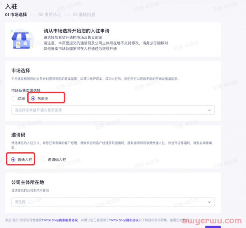 tiktok开店选择市场主体