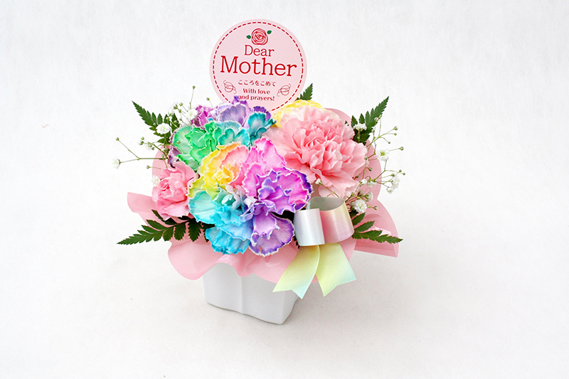 日本母亲节礼物绣球花